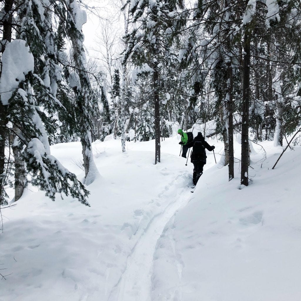 Rallye en ski hok dans le Parc national d'Aiguebelle, en Abitibi-Témiscamingue, lors du Défi Hiver 2019. Paysage hivernal dans une forêt enneigée.