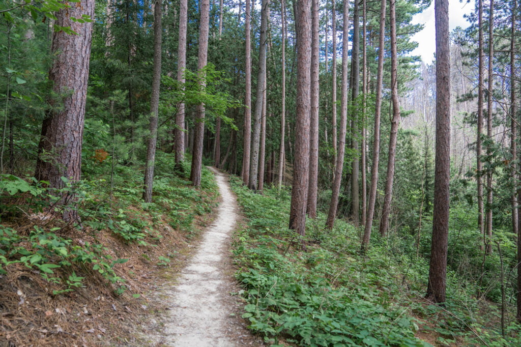 Parc national d'Opémican