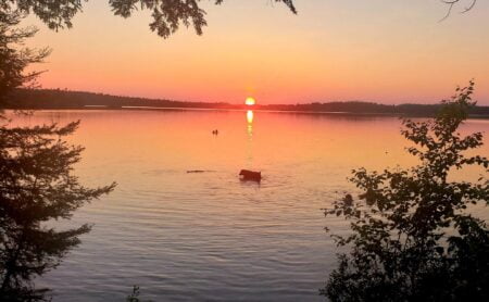 On voit une couché de soleil sur le lac des Bois au Témiscamingue. Un chien se baigne dans le lac, le soleil à l'horizon ressemble à une boule de feu et la couleur orange du ciel reflète sur l'eau.