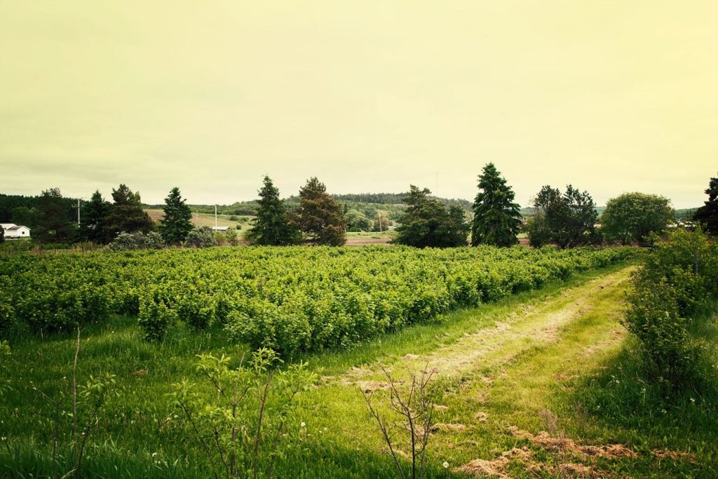 Le Verger des Tourterelles au Témiscamingue - Crédit photo : Claudia, la Roadtrippeuse