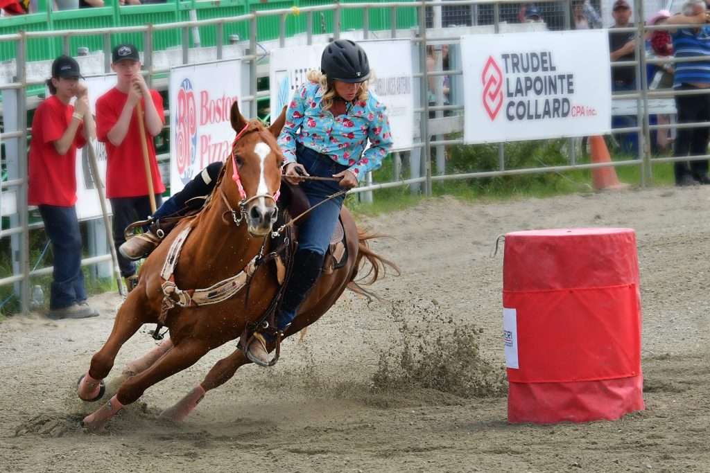 En pleine action, une femme habillée d'une chemise bleue à motifs floraux est sur son cheval brun et contourne des barils rouges.
