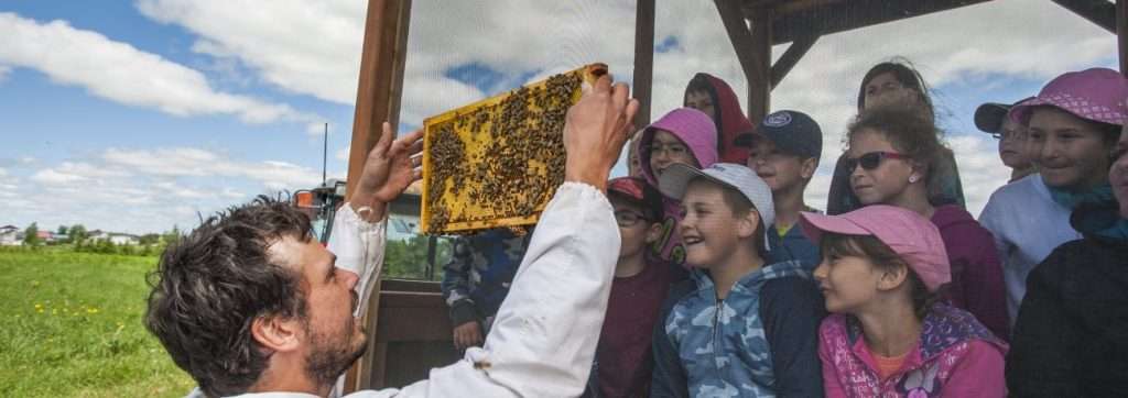 David Ouellet, propriétaire de la Miellerie de la Grande Ourse, fait une présentation à des enfants lors d'un safari apicole. 