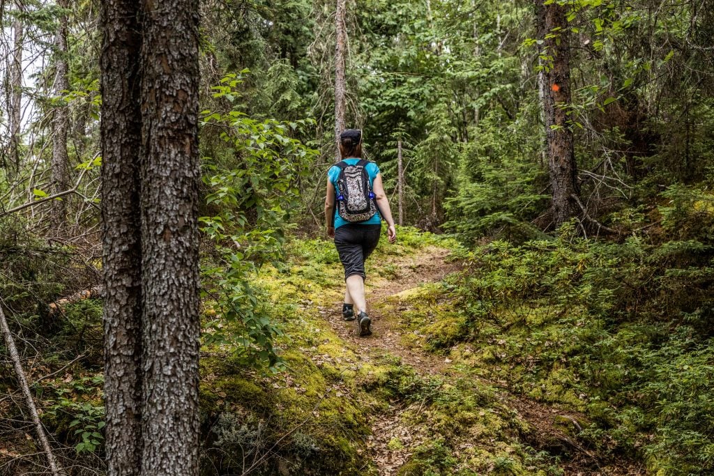 Parmi les sentiers pédestre de l'Abitibi-Témiscamingue, Opasatica est un incontournalble.