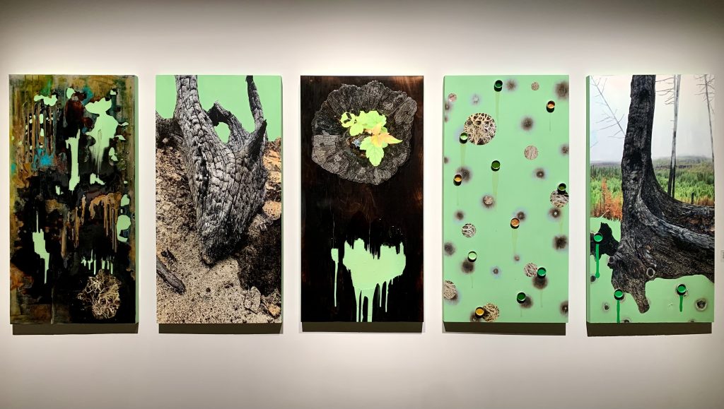 Cinq toiles de format vertical représente des oeuvres dans l'exposition " La nature dans mon ADN" de Véronique Doucet qui est présentement au Centre d'Exposition d'Amos.