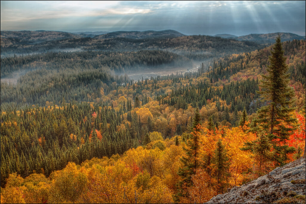 Vue panoramique du parc national d'AIguebelle en automne.