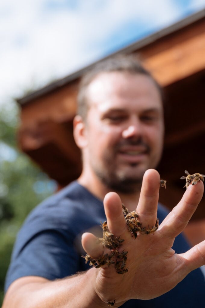 Près de 50 millions d'abeilles se trouvent dans les ruches de la Miellerie de la Grande Ourse. 