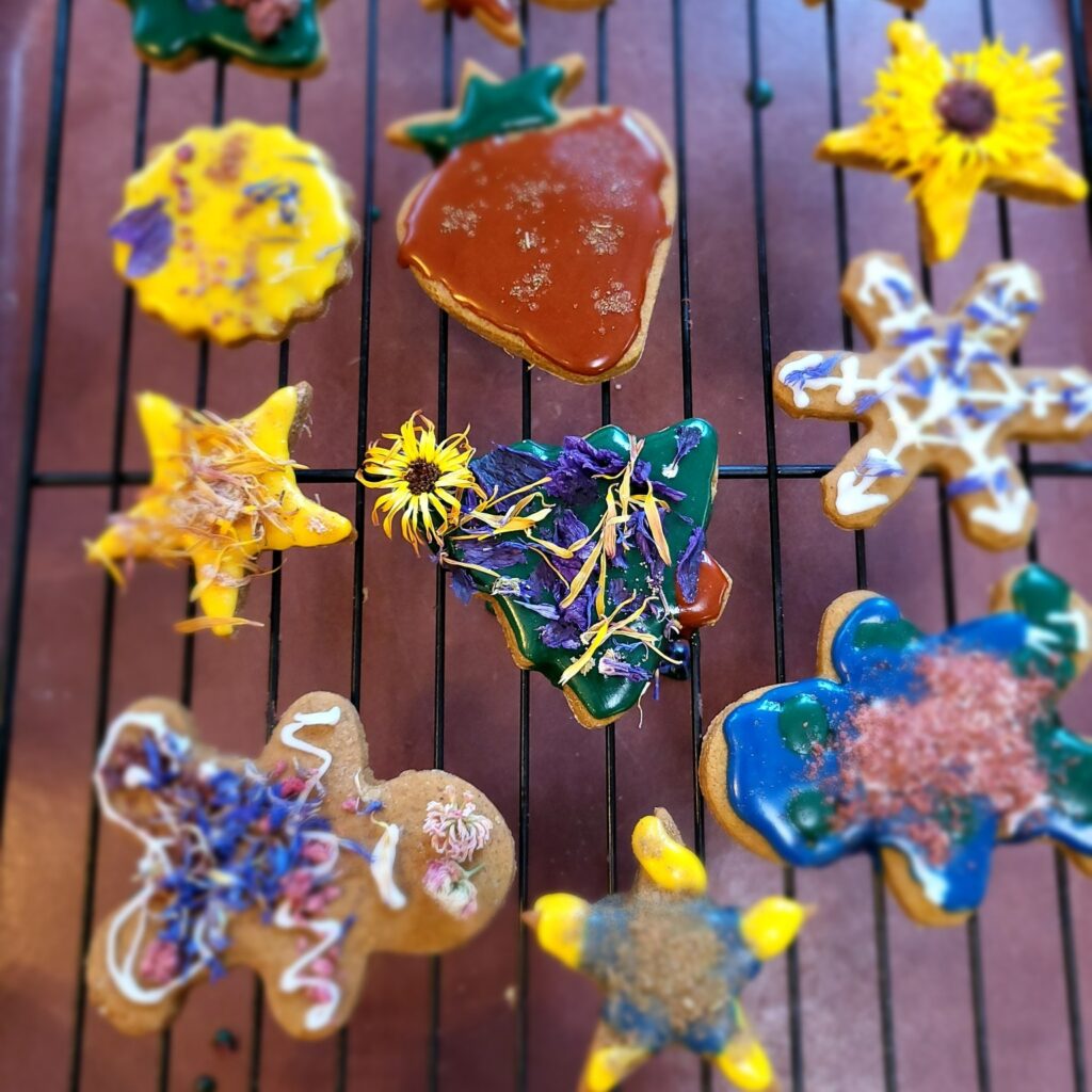 Voici des biscuits décorés avec le Kit créatif de la ferme Nordvie, un producteur de l'Abitibi-Témiscamingue.