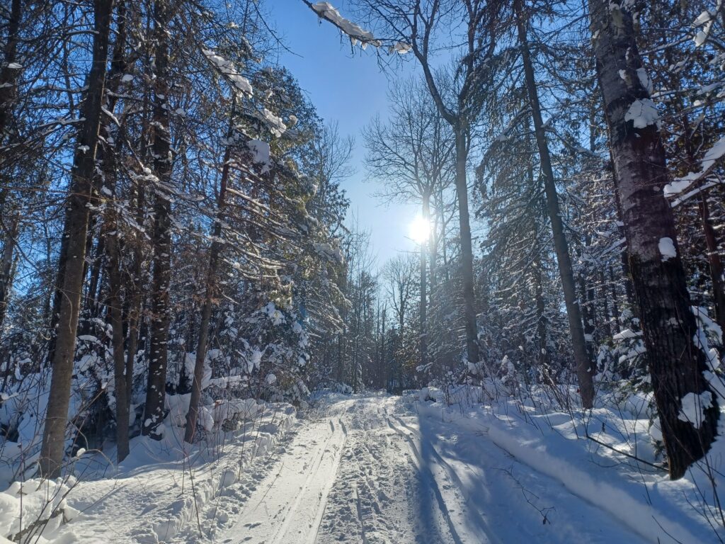 À Laverlochère au Témiscamingue, les sentiers de l'Entrevent sont idéaux pour occuper une escapade hivernale.